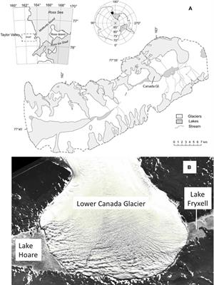 Dissolved Trace and Minor Elements in Cryoconite Holes and Supraglacial Streams, Canada Glacier, Antarctica